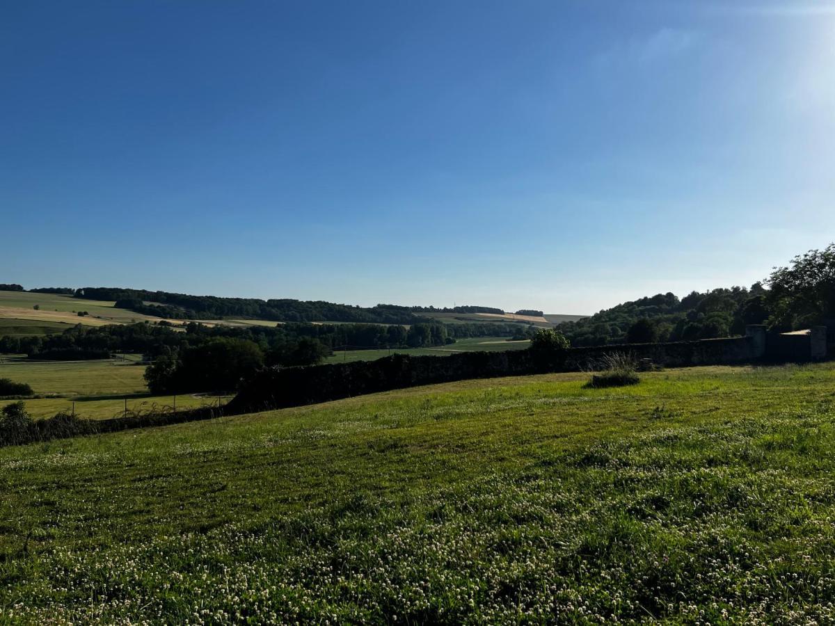 Bed and Breakfast Demeure De La Garenne Montmirail  Exterior foto