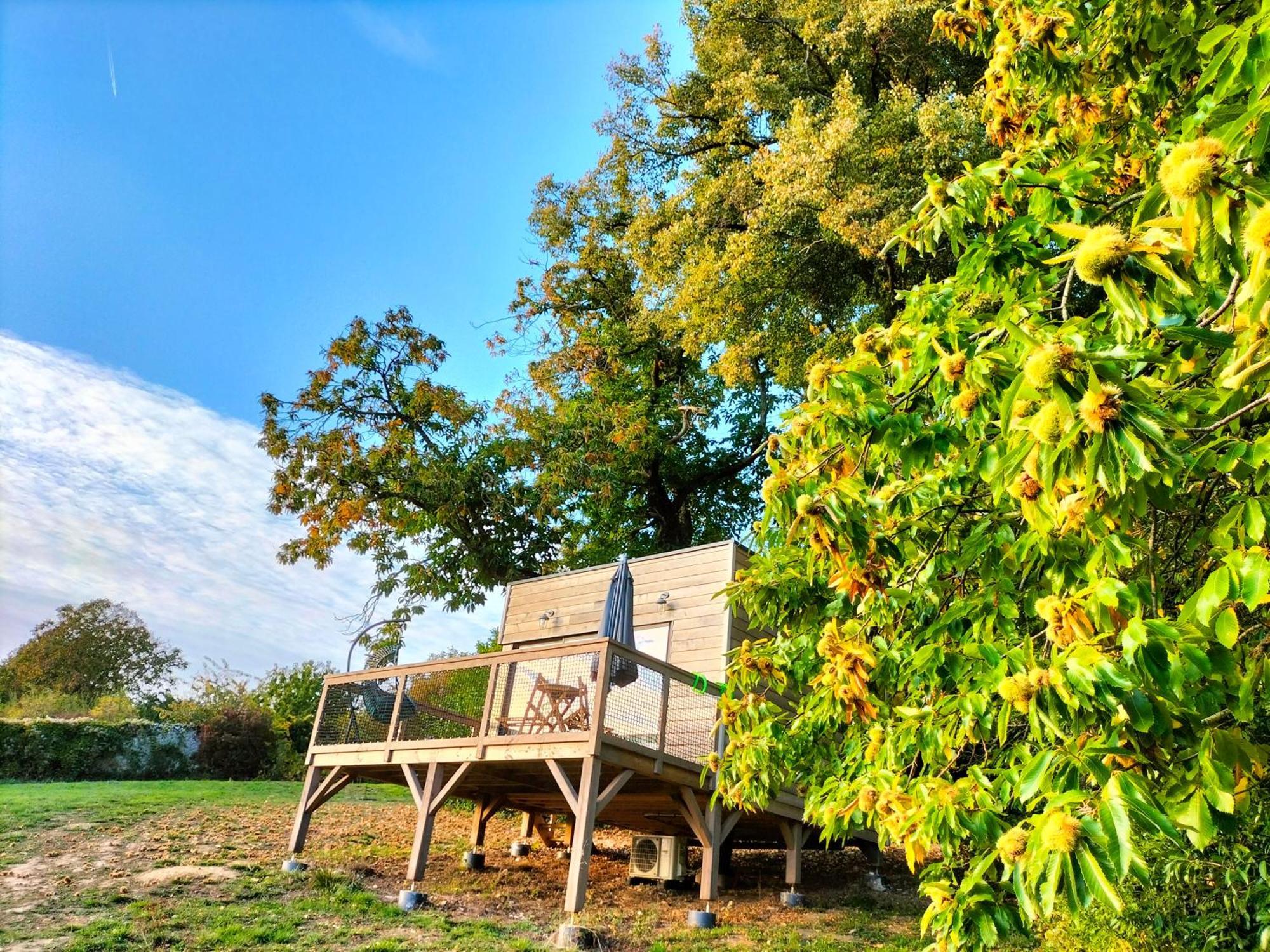Bed and Breakfast Demeure De La Garenne Montmirail  Exterior foto