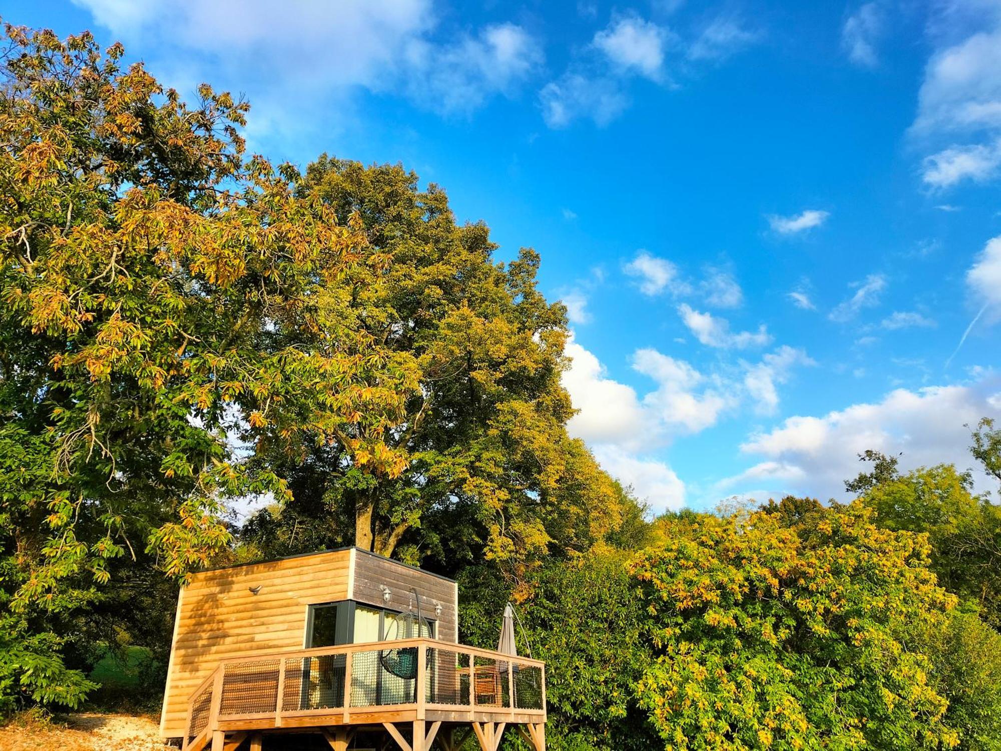 Bed and Breakfast Demeure De La Garenne Montmirail  Exterior foto