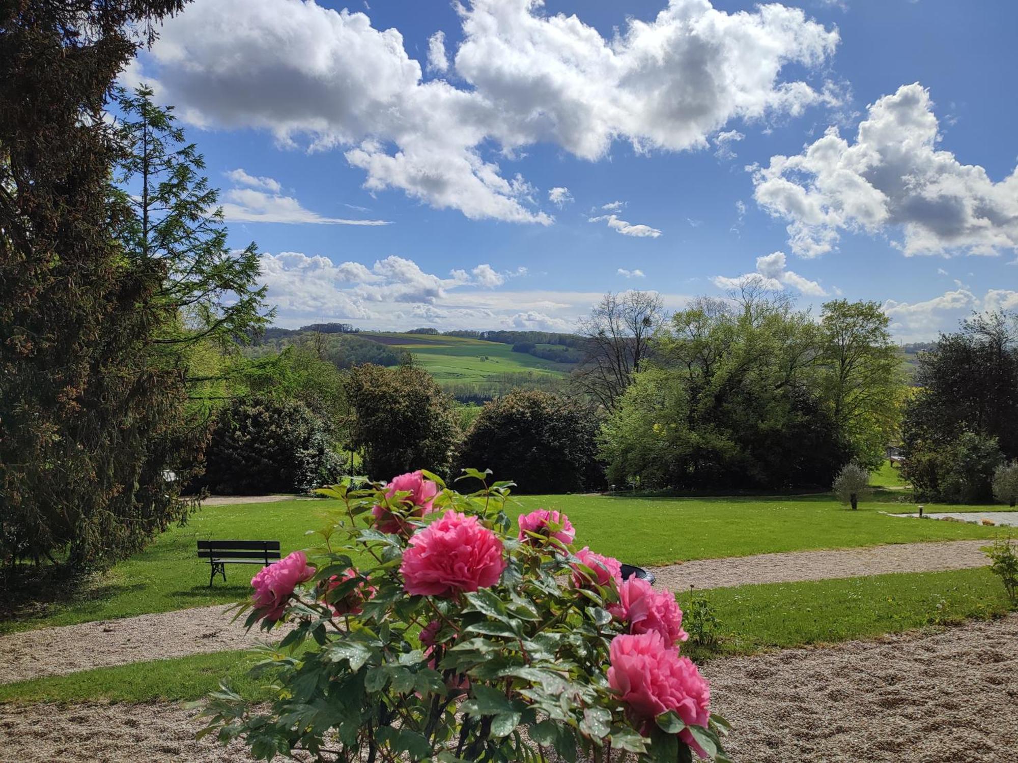Bed and Breakfast Demeure De La Garenne Montmirail  Exterior foto